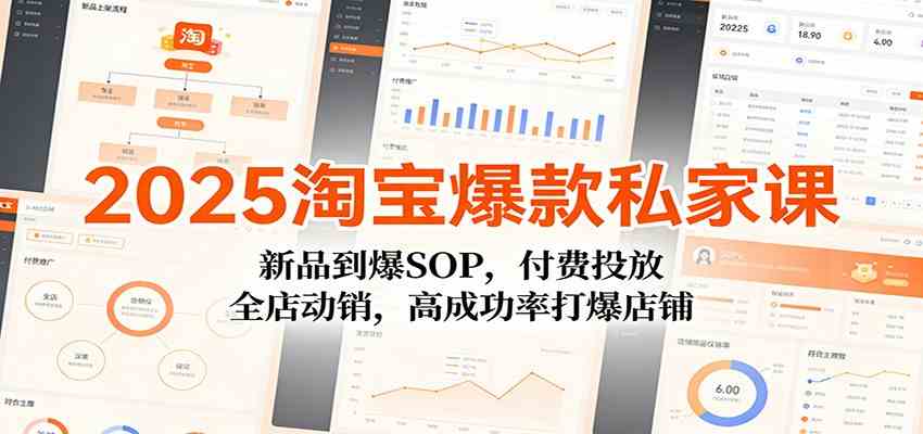 2025淘宝爆款私家课：新品到爆SOP，付费投放，全店动销，高成功率打爆店铺-柚子网创